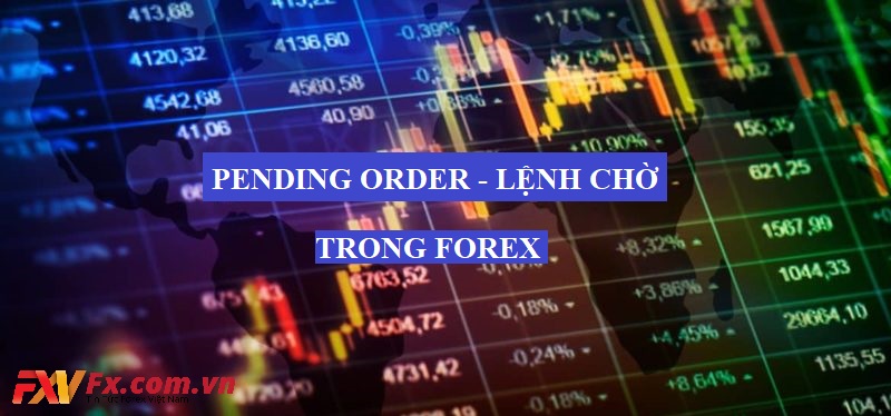 Pending Order - Lệnh Chờ trong thị trường Forex