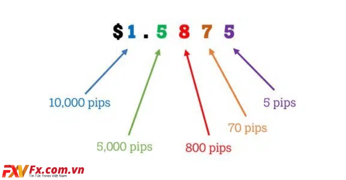 Cách tính pip forex với cặp tiền có tỷ giá khác 4 số thập phân