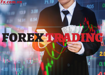 Giới thiệu Forex Trading là gì Những thông tin cơ bản mà bạn cần biết