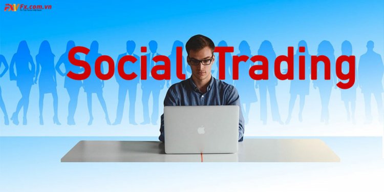 Cập nhật kiến thức mới nhất về social trading trong forex