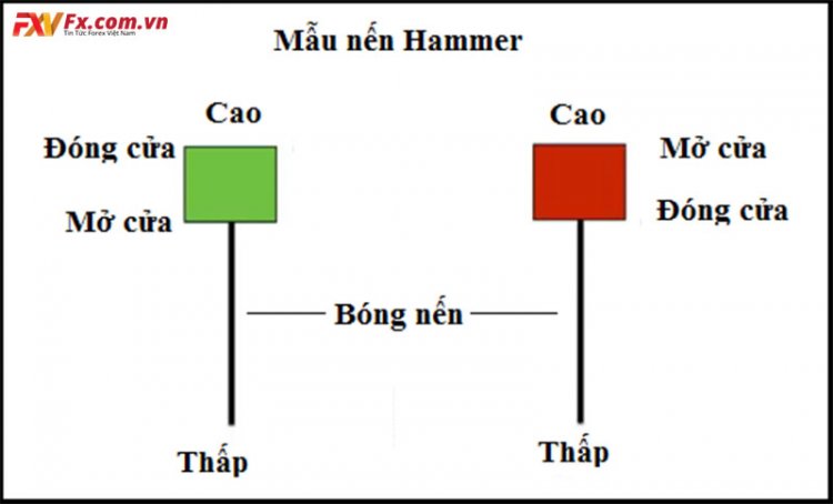 Các mẫu hình nến đảo chiều Hammer luôn có mặt trong 12 mô hình nến đảo chiều phổ biến hiện nay