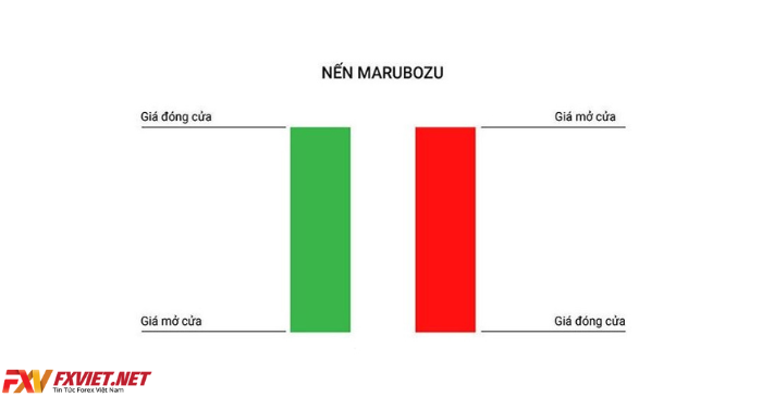 Đặc điểm của nến Marubozu