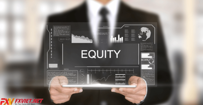 Hình thức equity trong kinh doanh