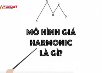 Mô hình Harmonic là gì Ưu nhược điểm của mô hình giá Harmonic