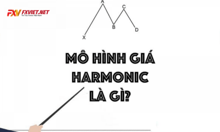 Mô hình Harmonic là gì? Ưu nhược điểm của mô hình giá Harmonic