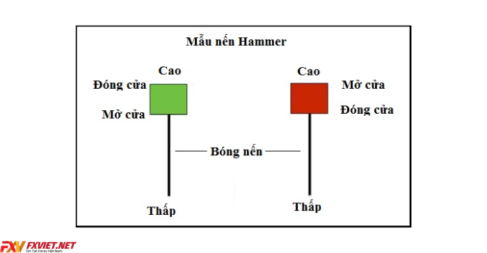 Nến Hammer là gì?