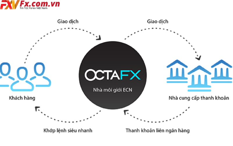 OctaFX là gì