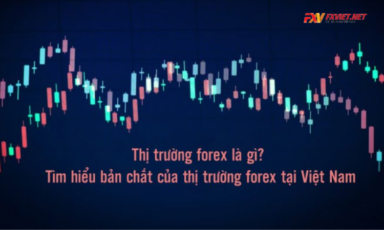 Thị trường Forex là gì? Cơ hội và rủi ro khi đầu tư Forex tại Việt Nam