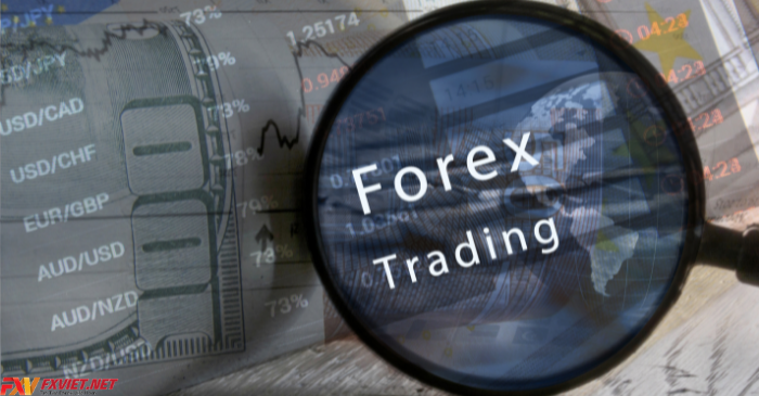 Sàn Forex là gì (Trader forex)? Tham gia thị trường Forex thông qua các sàn Forex uy tín
