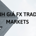Đánh giá FX Trading Markets có phải là sàn lừa đảo hay không
