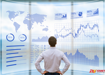 Bật mí 6 cách đầu tư tài chính Forex hiệu quả dành cho trader
