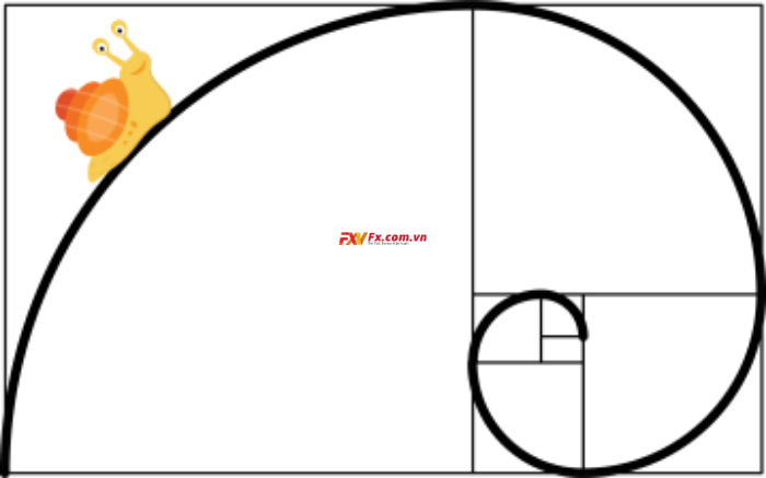 Tỷ lệ vàng Fibonacci trong Forex