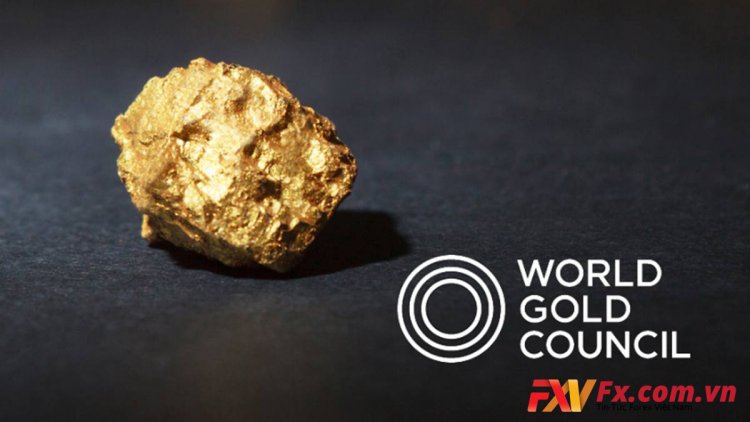 Hội đồng vàng thế giới (WGC) và những chức năng chính