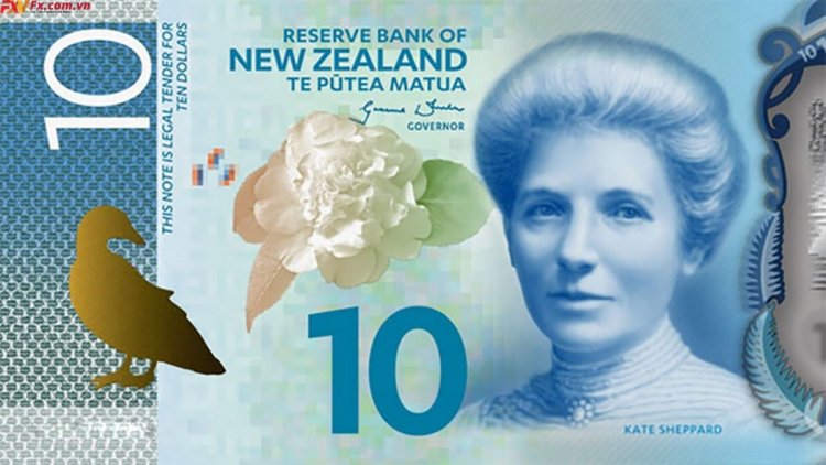 Dự báo về đô la New Zealand NZD/USD có thể tăng trong kỳ nghỉ lễ Tạ ơn