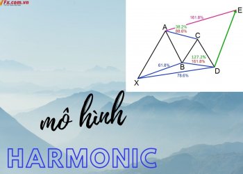 Mô hình giá Harmonic là gì? Tìm hiểu mô hình Harmonic trong Forex