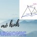 Mô hình giá Harmonic là gì? Tìm hiểu mô hình Harmonic trong Forex