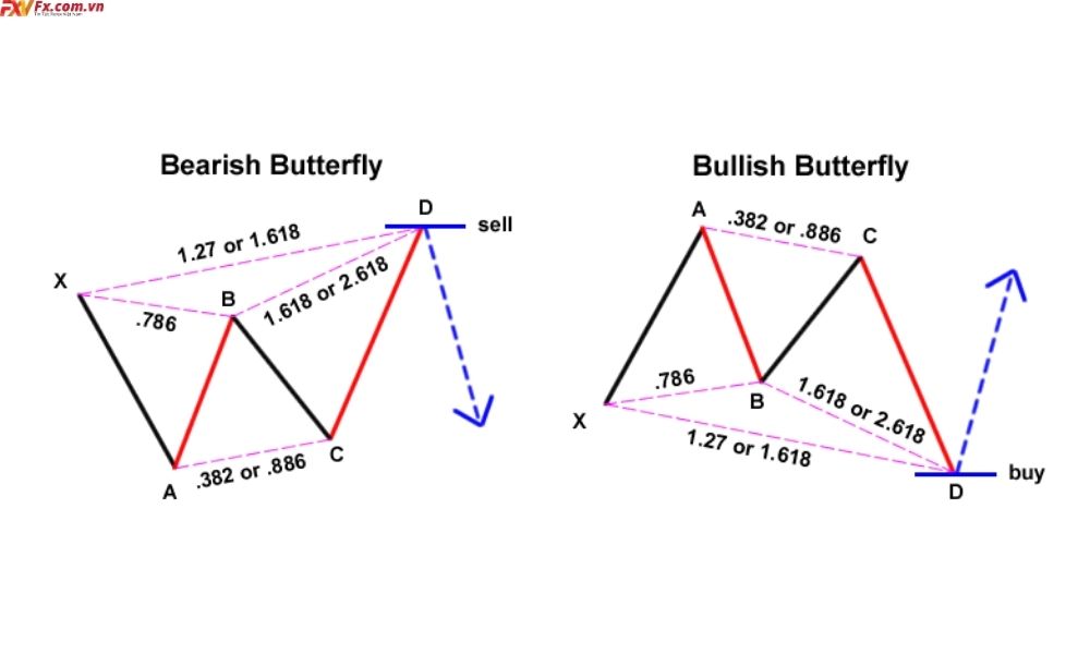 Tìm hiểu về mô hình Butterfly