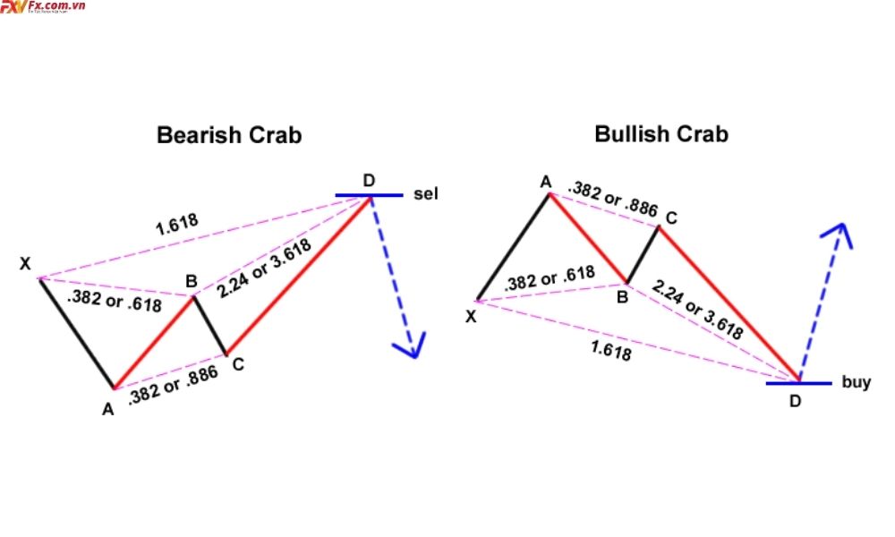Tìm hiểu về mô hình Crab