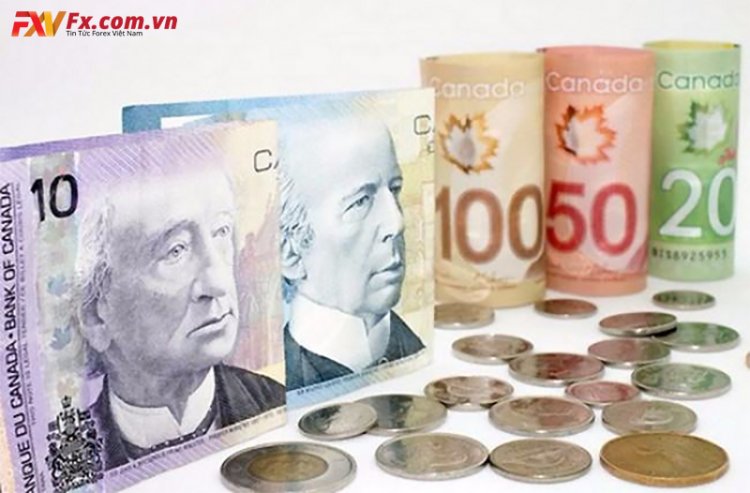 Triển vọng đô la Canada: USD / CAD tăng mức hỗ trợ mở hàng năm