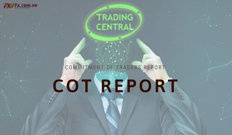 Báo cáo COT - Bản khai báo cáo số lượng giao dịch của các nhà đầu tư