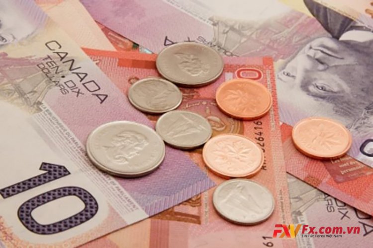 Dự báo đô la Canada: thiết lập theo tỷ giá CAD / JPY, USD / CAD