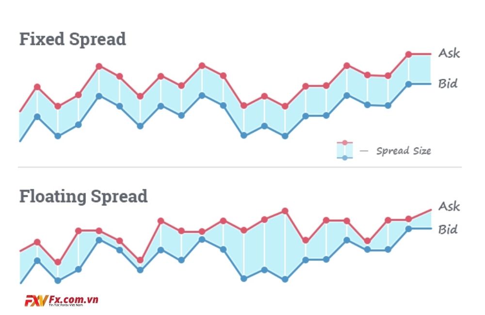 So sánh giữa spread cố định và biến đổi
