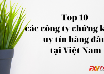 Top 10 các công ty chứng khoán uy tín hàng đầu tại Việt Nam