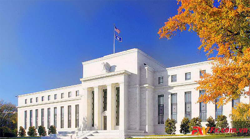 Khái niệm Fed là gì?
