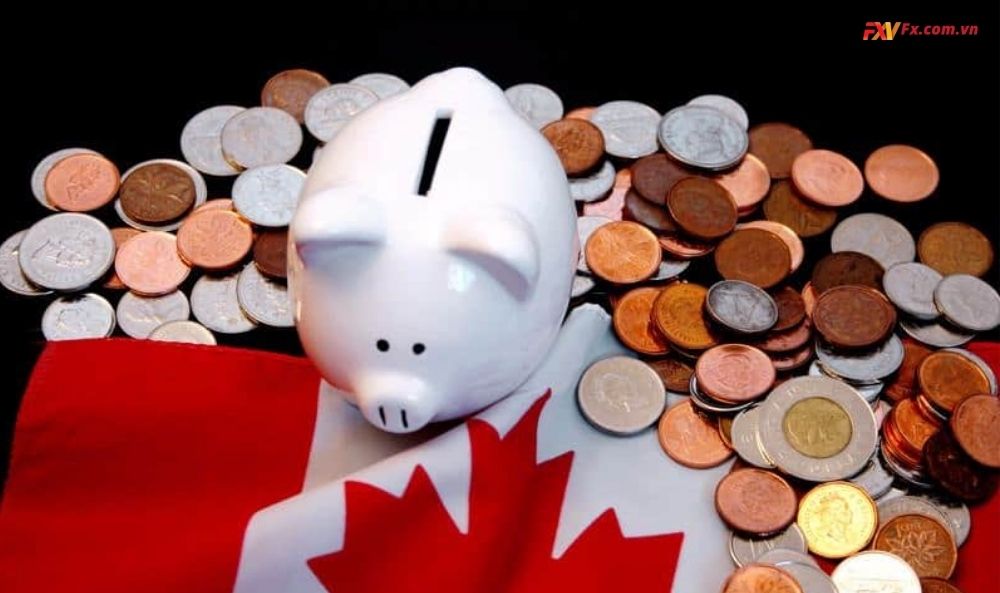 Chính sách tài chính và tiền tệ của Canada