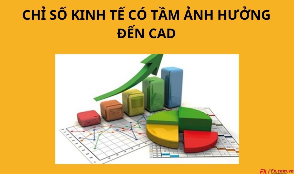 Chỉ số kinh tế có tầm ảnh hưởng đối với CAD