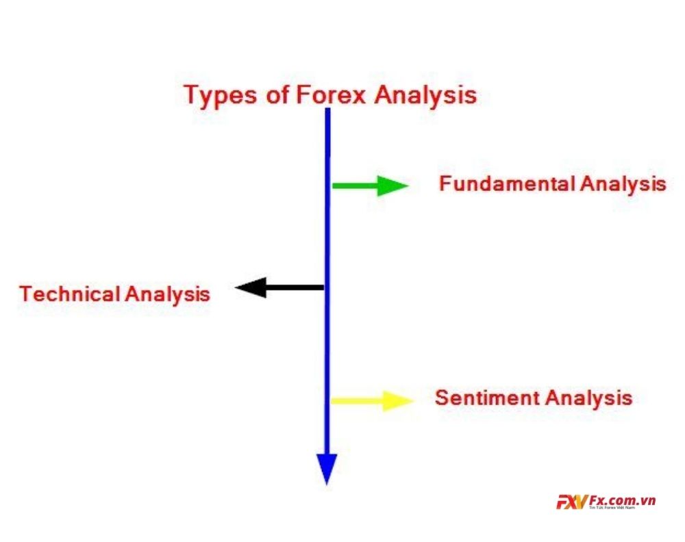 Những loại phân tích phổ biến nhất đối với lĩnh vực Forex