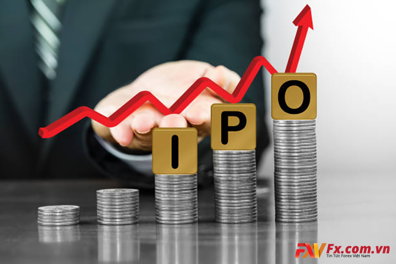 Cách thức hoạt động của IPO là gì?