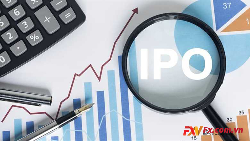 Những nguy hiểm khi công ty IPO là gì?