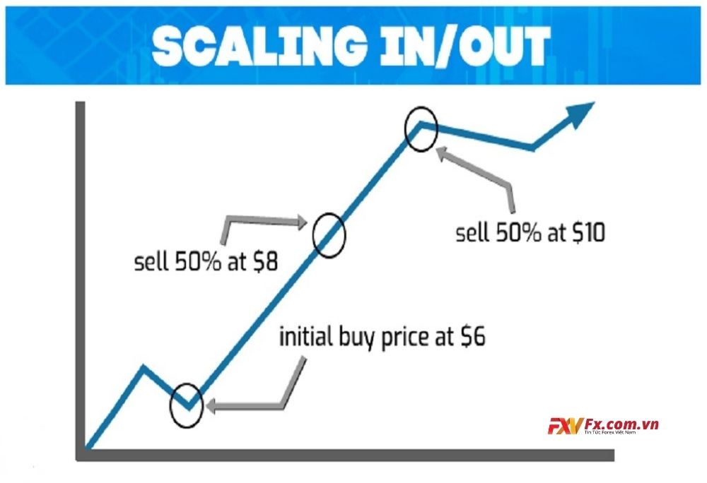 Scale out và Scale in trong Forex
