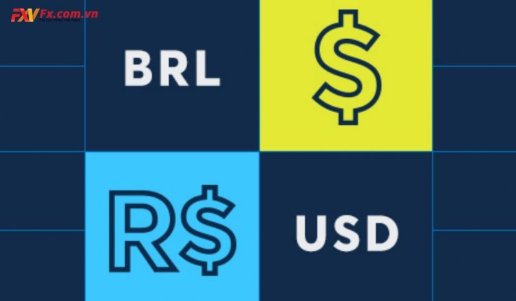 Điểm USD/BRL giảm khi Ngân hàng Trung ương Brazil tăng tỷ giá chọn lọc lên 3,5%