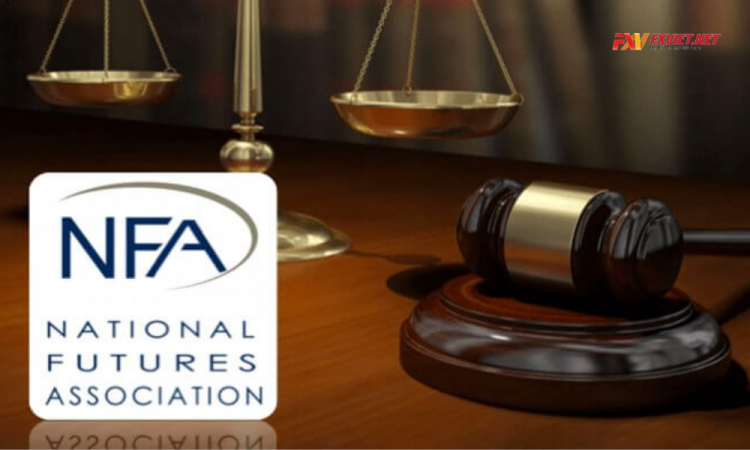 Giấy phép NFA là gì? Cách tra cứu giấy phép NFA của sàn Forex