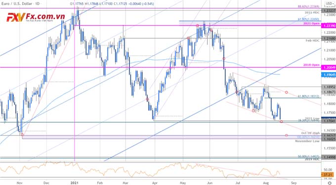 Biểu đồ giá Euro hàng ngày