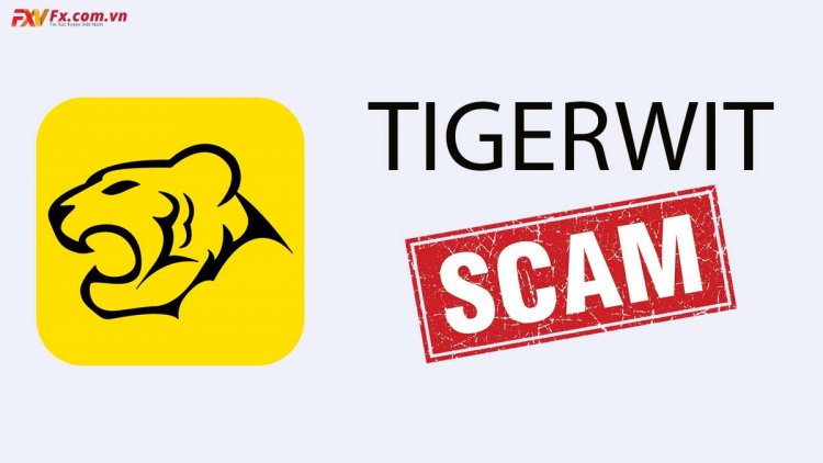 Sàn TigerWit lừa đảo nhà đầu tư - Thông tin mới nhất từ Wiki FX