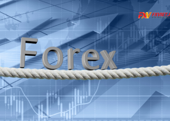 Forex có lừa đảo không? Có nên tham gia đầu tư Forex không?