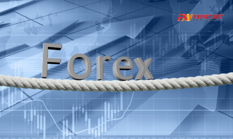 Forex có lừa đảo không? Có nên tham gia đầu tư Forex không?