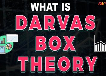 Lý thuyết hộp Darvas là gì? Hướng dẫn sử dụng