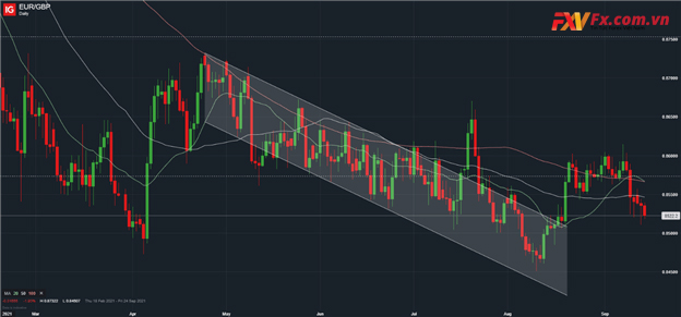 Phân tích kỹ thuật EUR/GBP trên biểu đồ hàng ngày