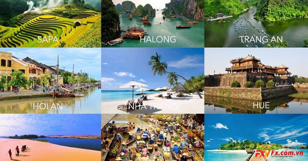 Một số mã cổ phiếu ngành du lịch Việt Nam