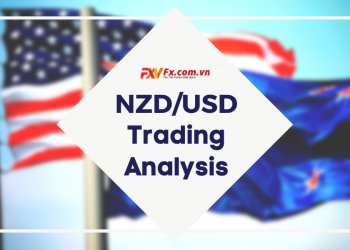 NZD/USD vẫn ổn định trước khi Ngân hàng Dự trữ New Zealand công bố lãi suất