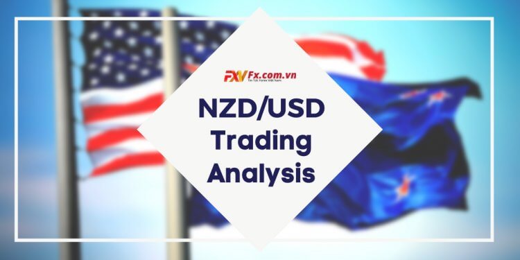 NZD/USD vẫn ổn định trước khi Ngân hàng Dự trữ New Zealand công bố lãi suất