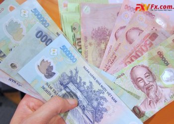 Tìm hiểu các mệnh giá tiền Việt Nam từ trước đến nay