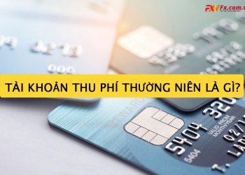 Tìm hiểu khái niệm tài khoản thu phí thường niên là gì?