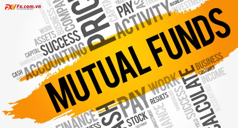 Tìm hiểu khái niệm về quỹ đầu tư