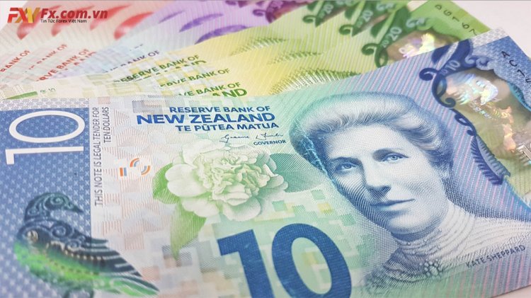 Sự suy yếu của đồng đô la New Zealand so với đô la Mỹ đã đẩy NZD/USD xuống mức thấp mới