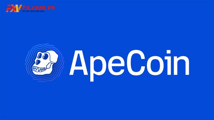 ApeCoin (APE) là gì? Thông tin về dự án ApeCoin mới nhất